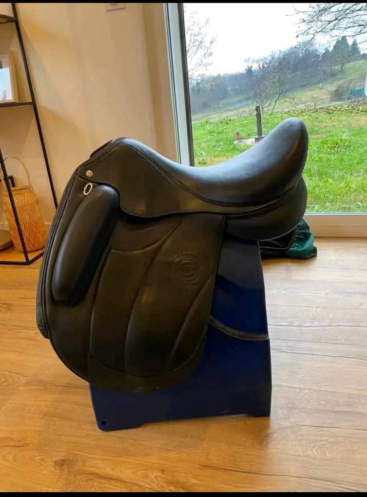 Selle forestière Aachen de 2022